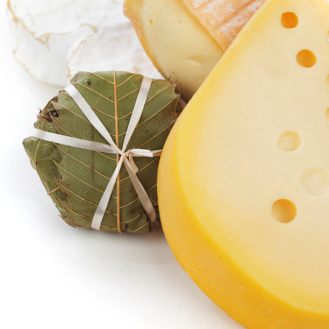 Dairy Dairy