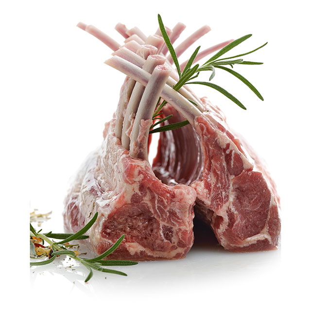 Lamb Lamb